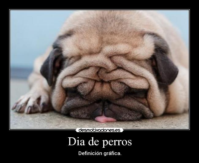 Dia de perros - 
