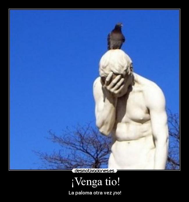 ¡Venga tio! -