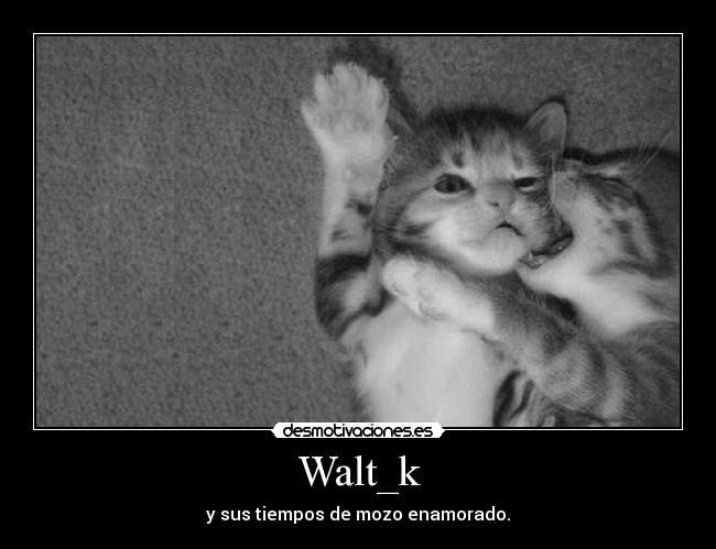 Walt_k - y sus tiempos de mozo enamorado.