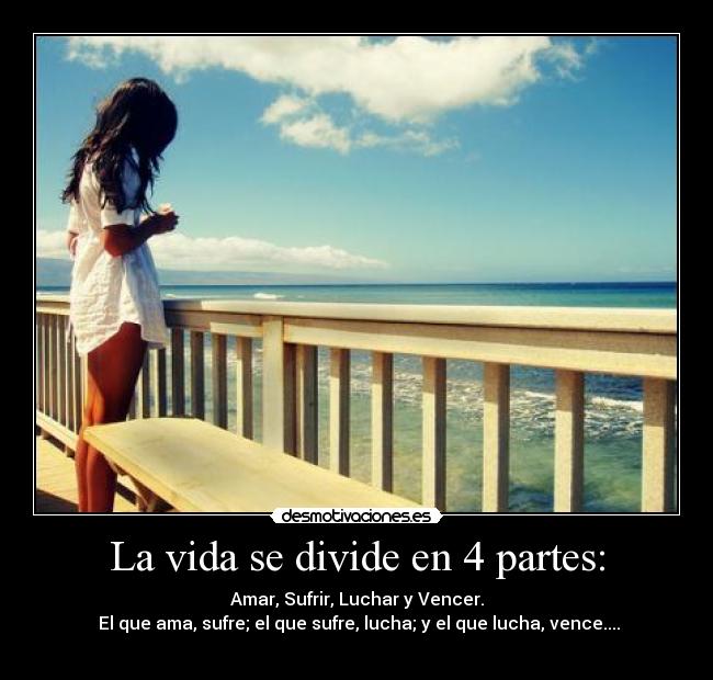 La vida se divide en 4 partes: - 