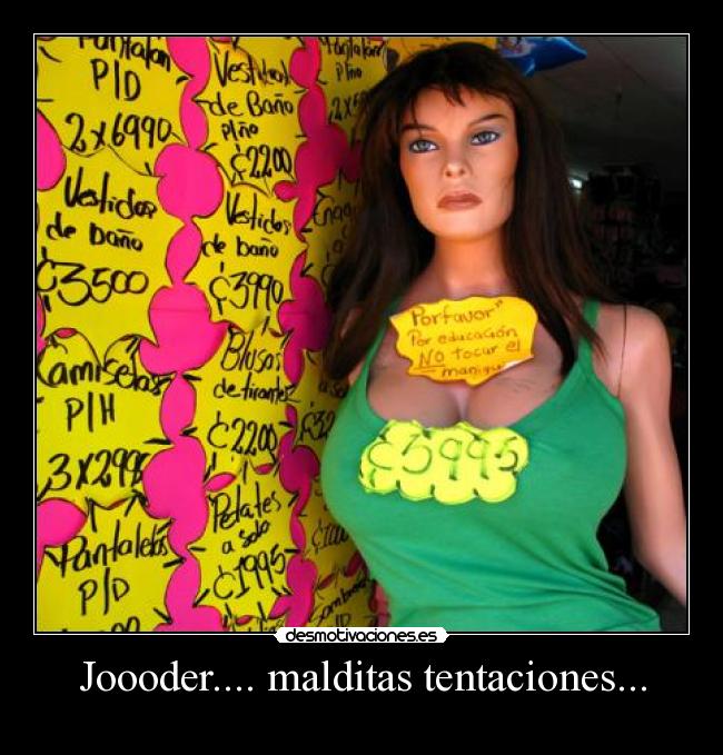 carteles joder tentaciones lianer desmotivaciones