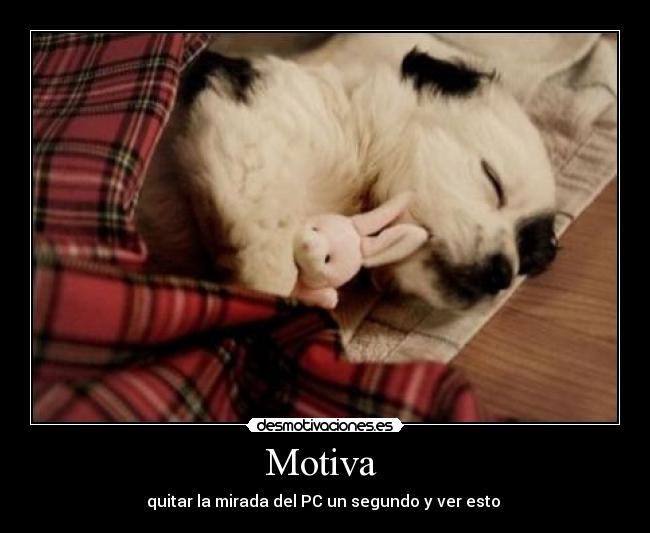 Motiva - quitar la mirada del PC un segundo y ver esto