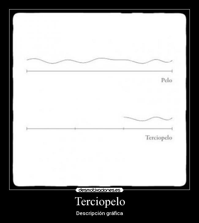Terciopelo - Descripción gráfica