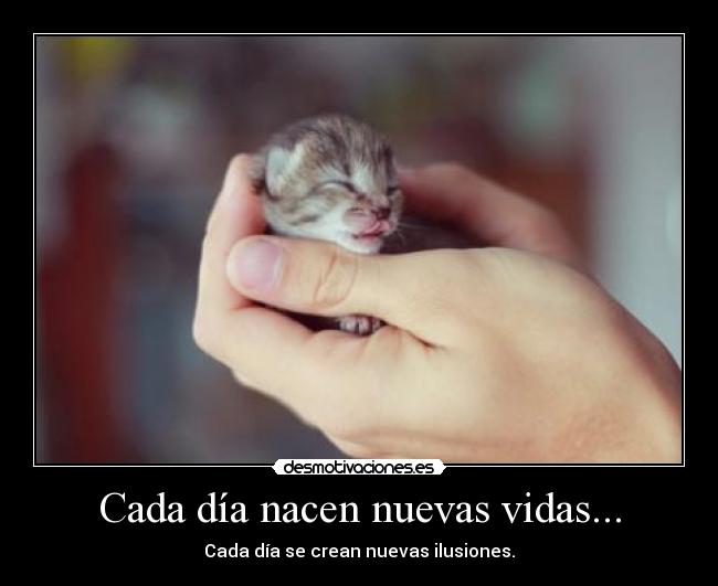 Cada día nacen nuevas vidas... -
