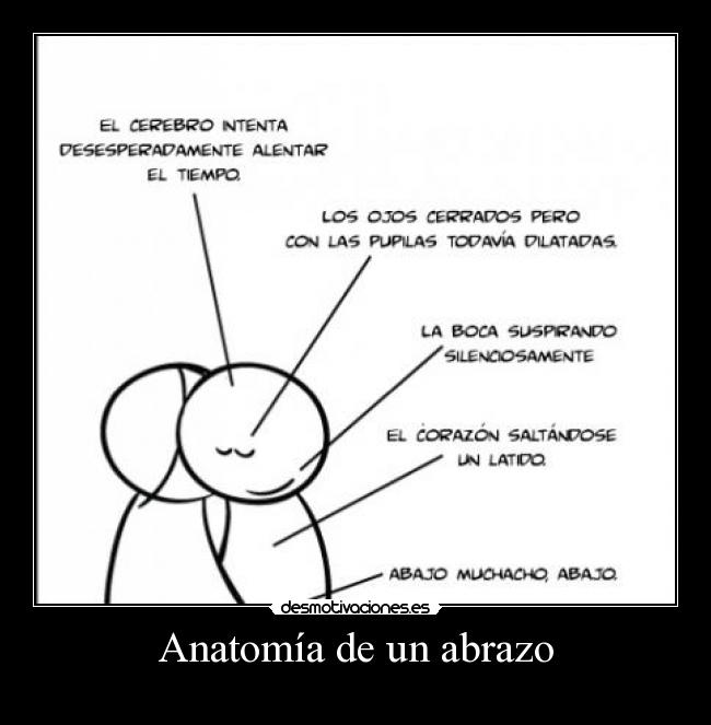 carteles anatomia abrazo desmotivaciones