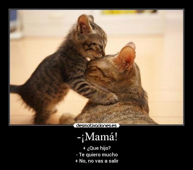 -¡Mamá! - + ¿Que hijo?
- Te quiero mucho
+ No, no vas a salir