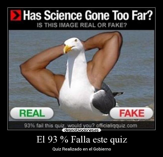 El 93 % Falla este quiz - Quiz Realizado en el Gobierno