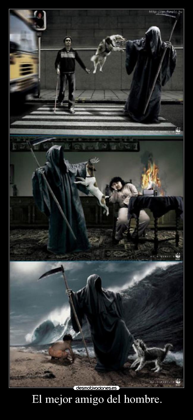 El mejor amigo del hombre. -
