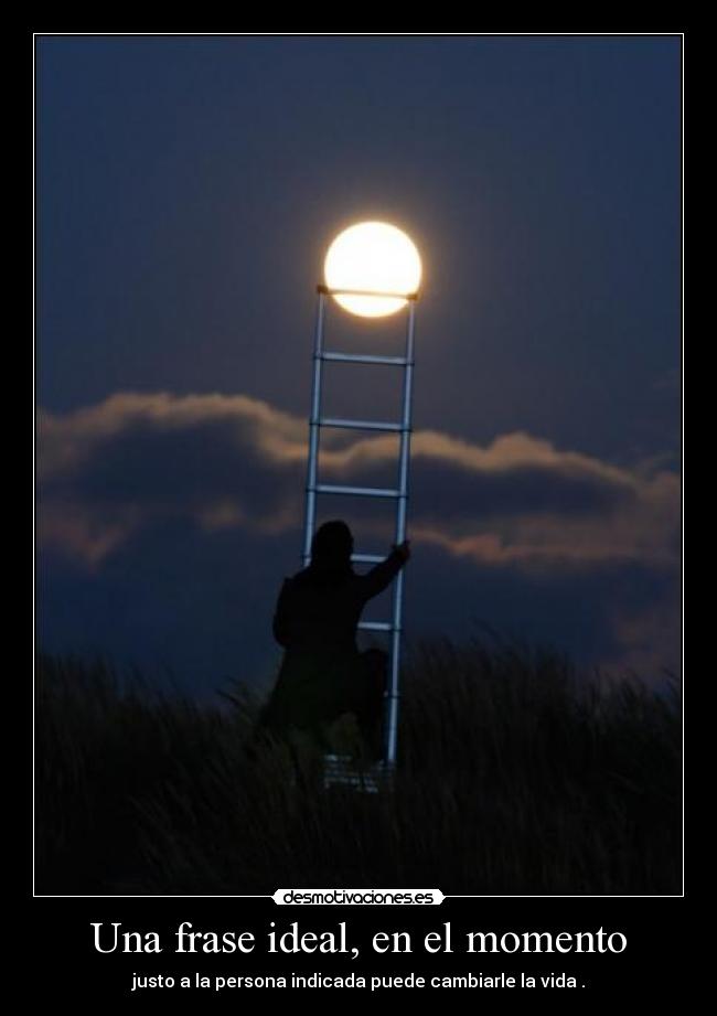 Una frase ideal, en el momento -