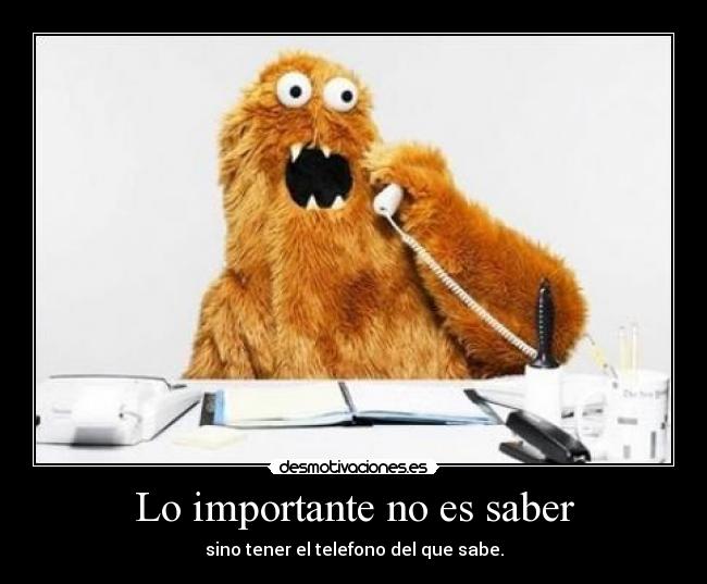 Lo importante no es saber - 