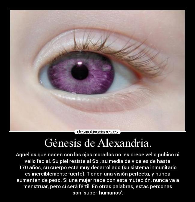 Génesis de Alexandria. - Aquellos que nacen con los ojos morados no les crece vello púbico ni
vello facial. Su piel resiste al Sol, su media de vida es de hasta
170 años, su cuerpo está muy desarrollado (su sistema inmunitario
es increíblemente fuerte). Tienen una visión perfecta, y nunca
aumentan de peso. Si una mujer nace con esta mutación, nunca va a
menstruar, pero sí será fértil. En otras palabras, estas personas
son super-humanos.