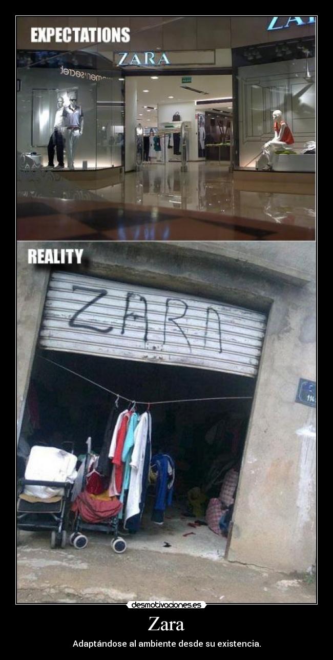 Zara - Adaptándose al ambiente desde su existencia.