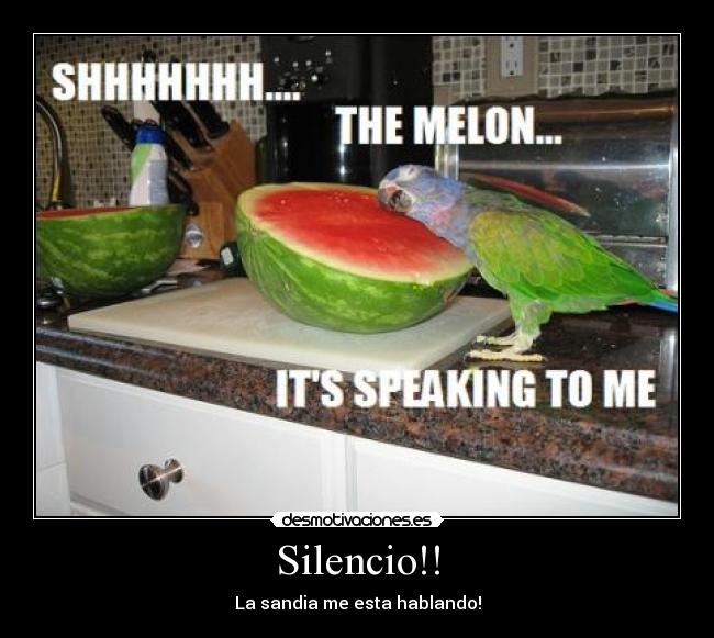 carteles silencio sandiahablaloropericoguacayamawatermelon desmotivaciones