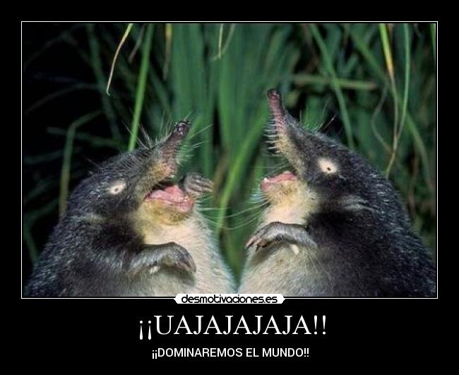 ¡¡UAJAJAJAJA!! - ¡¡DOMINAREMOS EL MUNDO!!