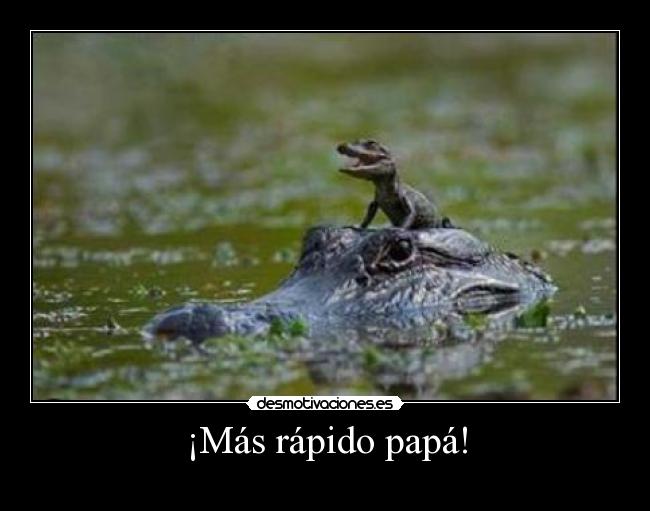 ¡Más rápido papá! - 