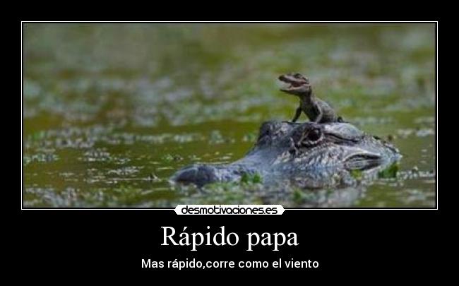 Rápido papa - Mas rápido,corre como el viento