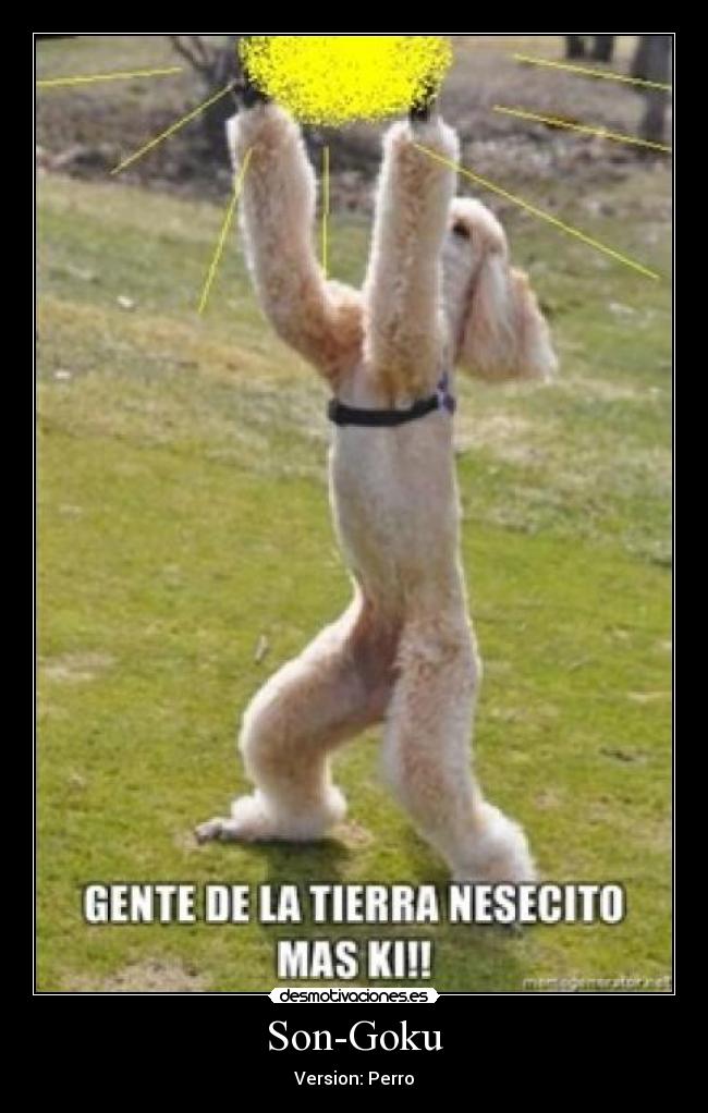 Son-Goku - 