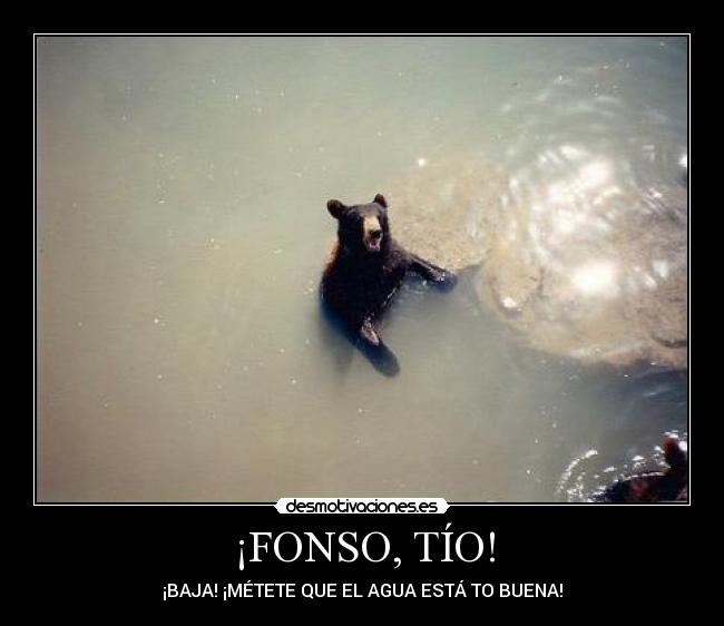 ¡FONSO, TÍO! - 