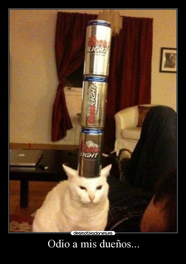 Odio a mis dueños... -
