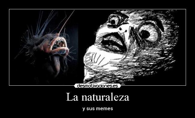 La naturaleza -