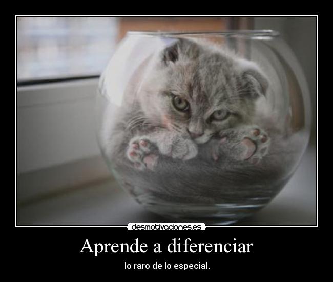 Aprende a diferenciar - 