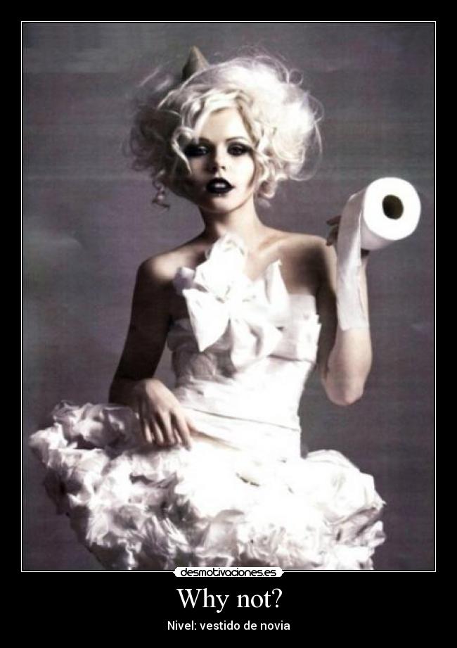 carteles vestidonoviawhy not desmotivaciones