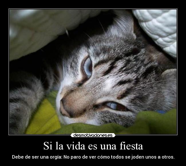 Si la vida es una fiesta -