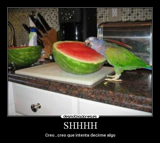 SHHHH - Creo...creo que intenta decirme algo