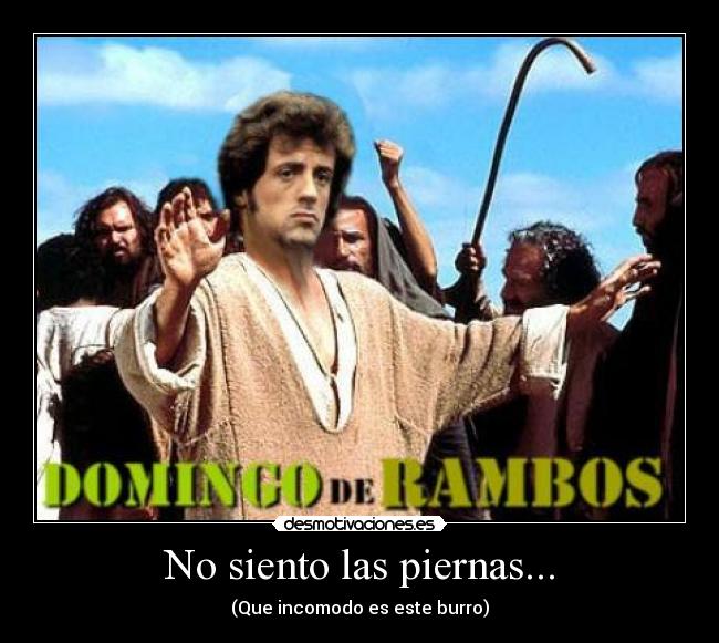 No siento las piernas... - (Que incomodo es este burro)