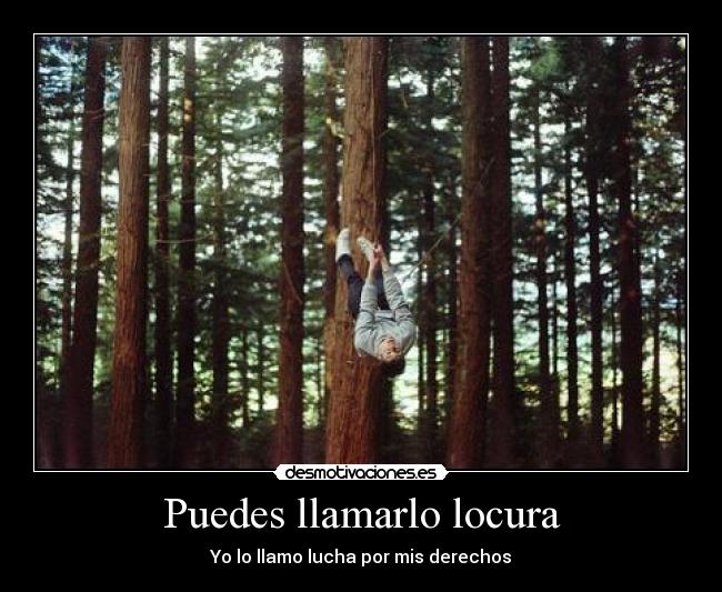 Puedes llamarlo locura - 