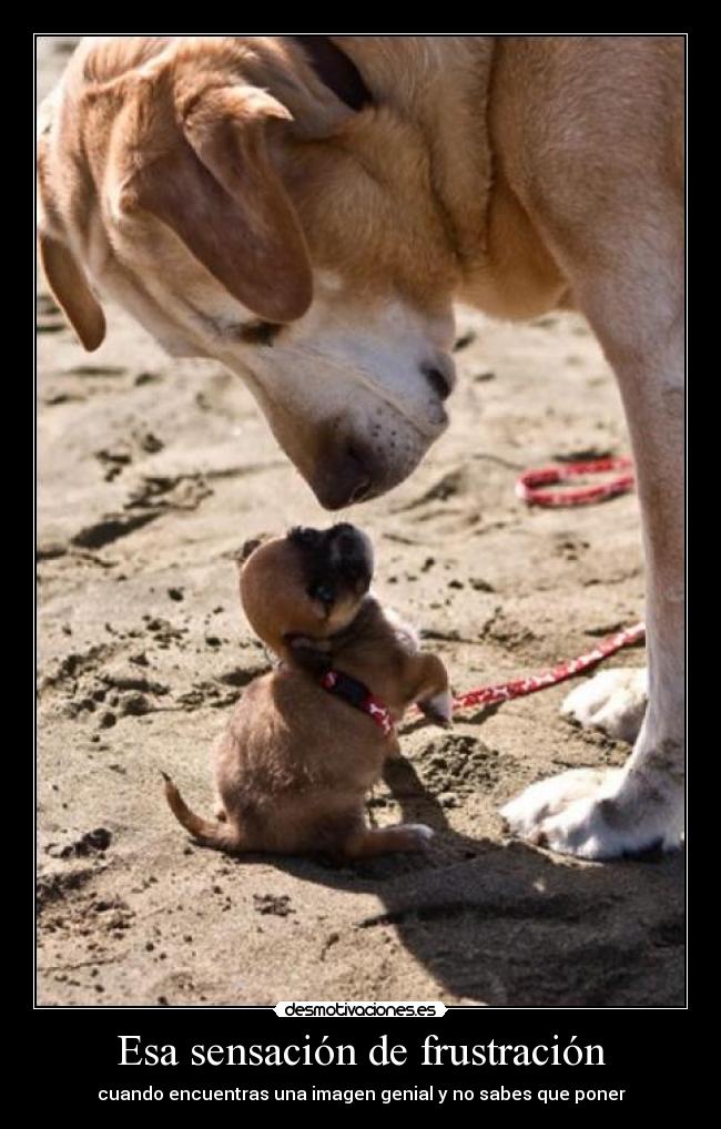 Esa sensación de frustración -