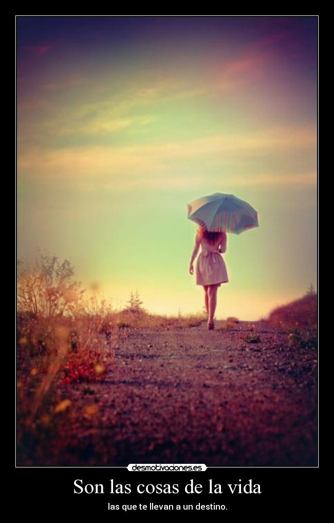 Son las cosas de la vida - 