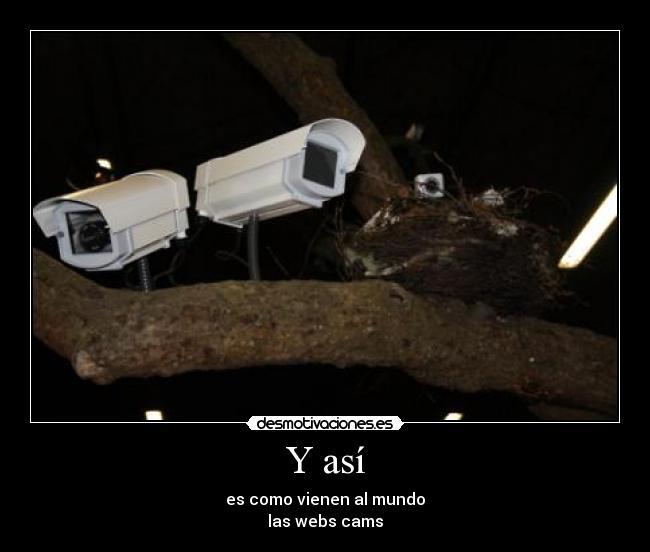 carteles web cam desmotivaciones