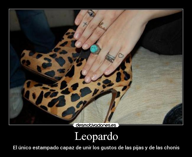 Leopardo -