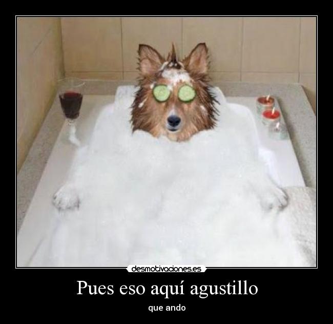 Pues eso aquí agustillo - 