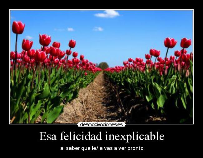 Esa felicidad inexplicable -
