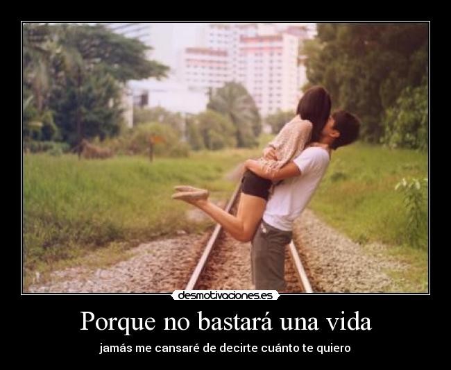 carteles vida perdona pero quiero casarme contigo bastara una vida desmotivaciones