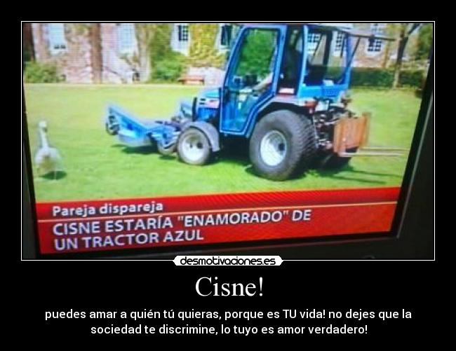 Cisne! - puedes amar a quién tú quieras, porque es TU vida! no dejes que la
sociedad te discrimine, lo tuyo es amor verdadero!