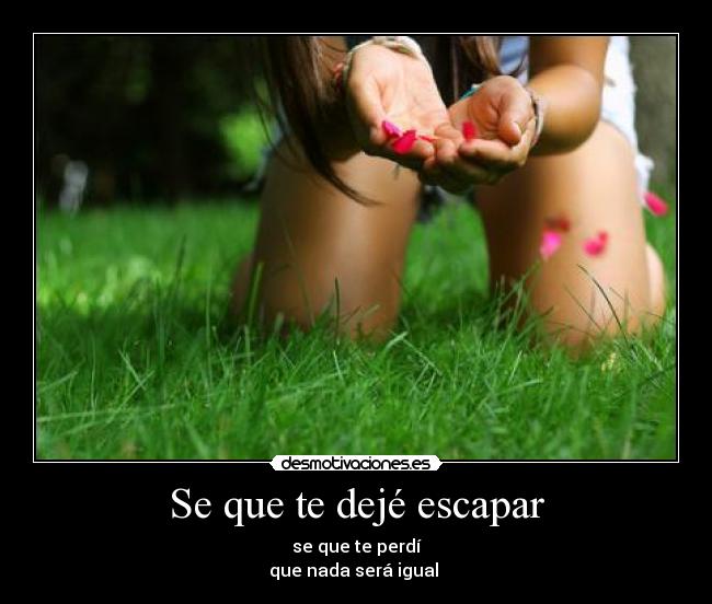 Se que te dejé escapar -