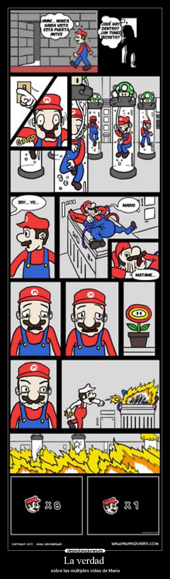 La verdad  - sobre las múltiples vidas de Mario