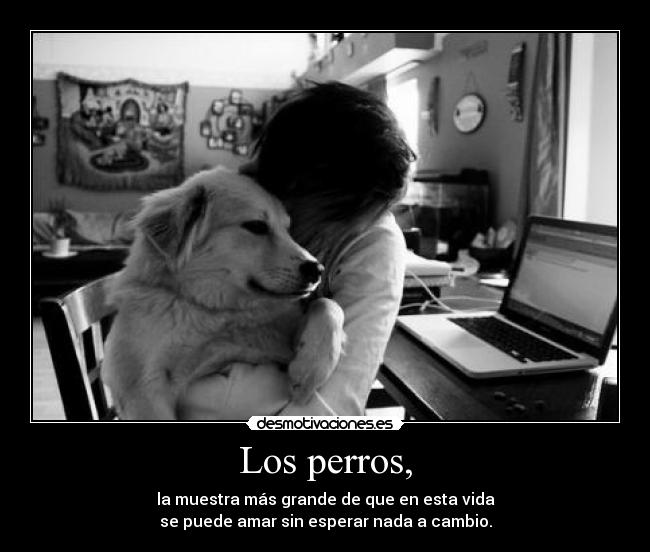 Los perros, - 