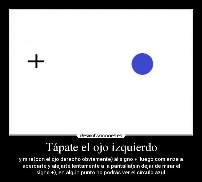 Tápate el ojo izquierdo - y mira(con el ojo derecho obviamente) al signo +. luego comienza a
acercarte y alejarte lentamente a la pantalla(sin dejar de mirar el
signo +), en algún punto no podrás ver el círculo azul.