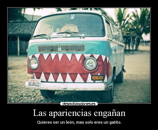 Las apariencias engañan - Quieres ser un león, mas solo eres un gatito.