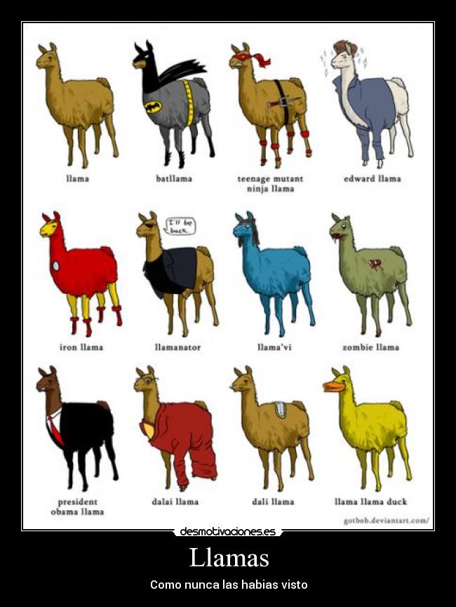 Llamas -