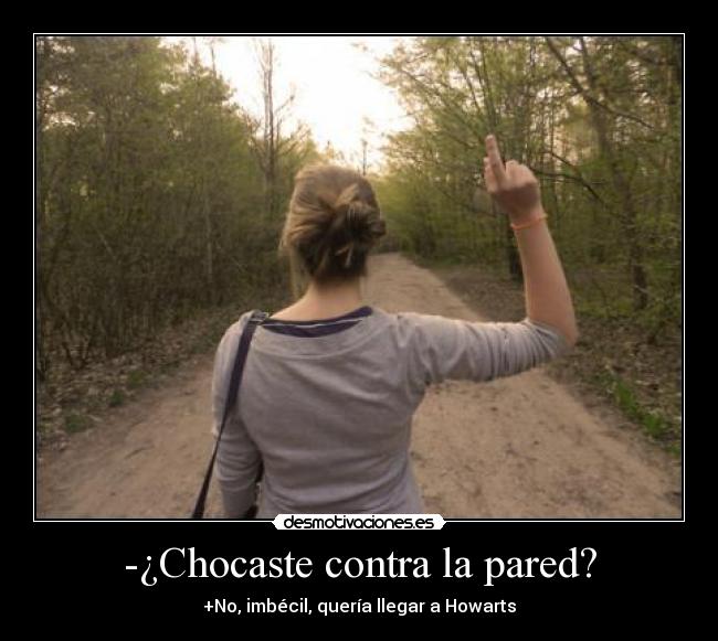 -¿Chocaste contra la pared? - +No, imbécil, quería llegar a Howarts