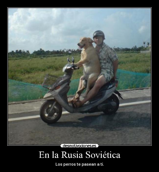 carteles uuuuuuuuuuuuuuuuuuuuuu desmotivaciones