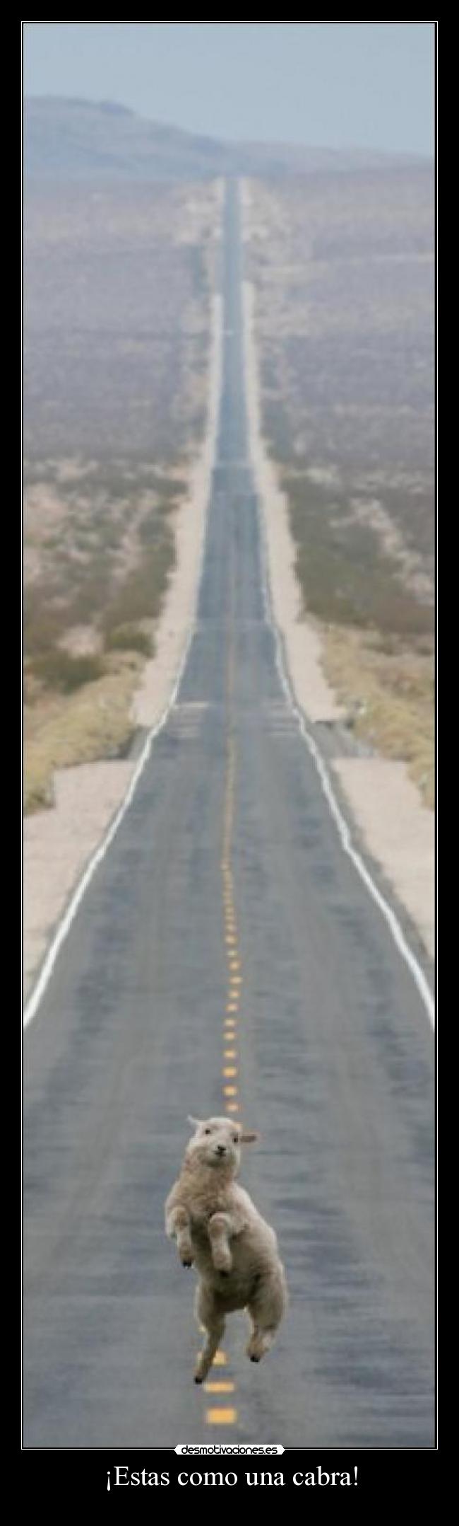 ¡Estas como una cabra! -