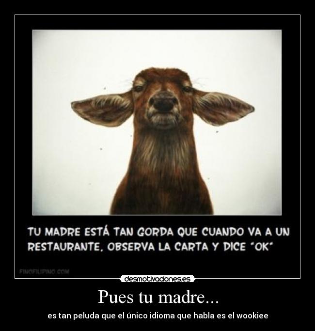 Pues tu madre... - es tan peluda que el único idioma que habla es el wookiee