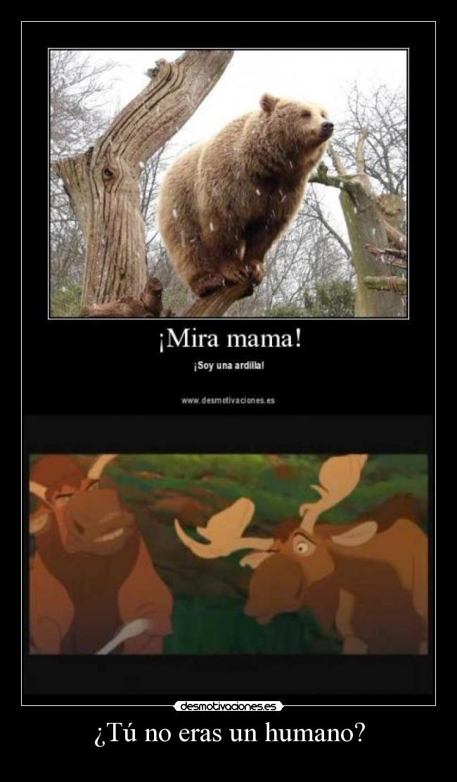 ¿Tú no eras un humano? - 