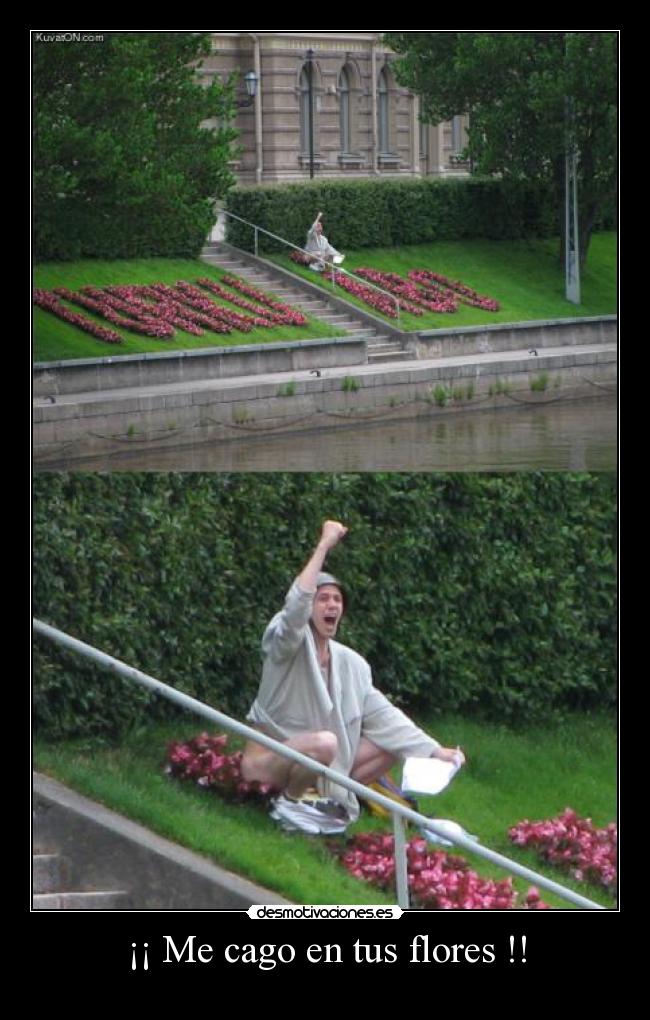 ¡¡ Me cago en tus flores !! -